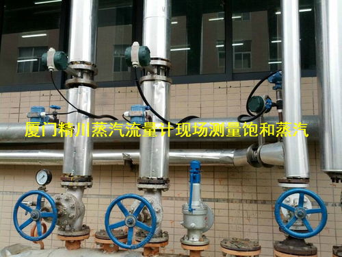 厦门精川与大型豆制品公司成功签订多套蒸汽流量计项目，助力电子软硬件研发升级